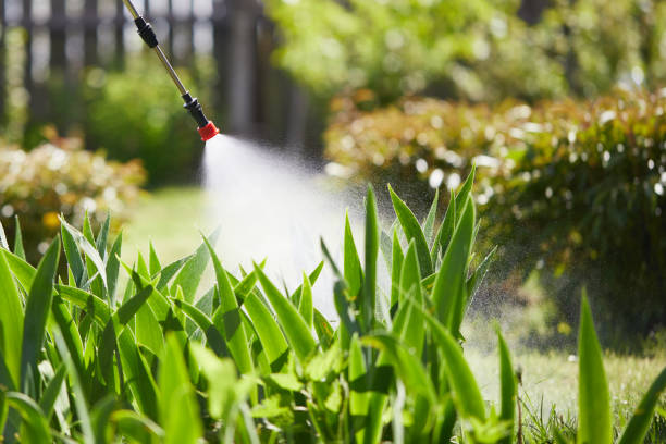 24/7 Emergency Mosquito Control experts in Jeffersonville, KY