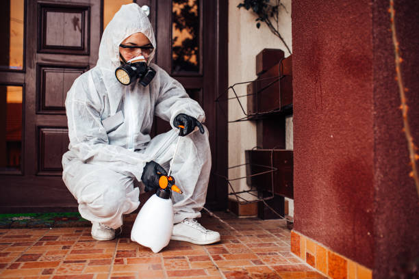 Reliable Mosquito Control contractor in Jeffersonville, KY by Show Me Pest Control