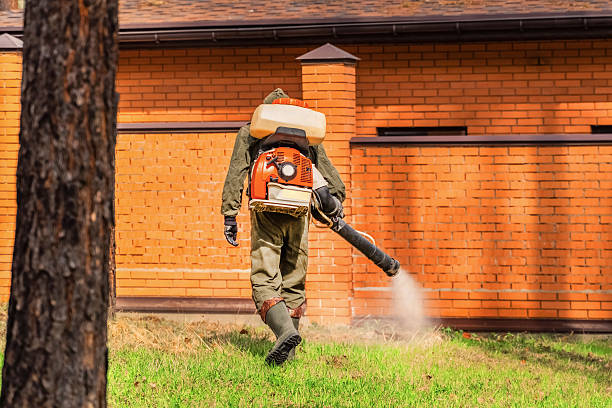 Top rated local Mosquito Control specialists in Jeffersonville, KY
